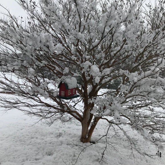 Meet your Posher, Samantha - Picture 1 of 1